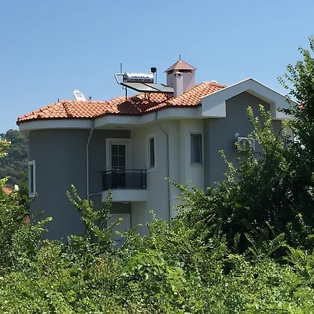 Zehra דליאן
